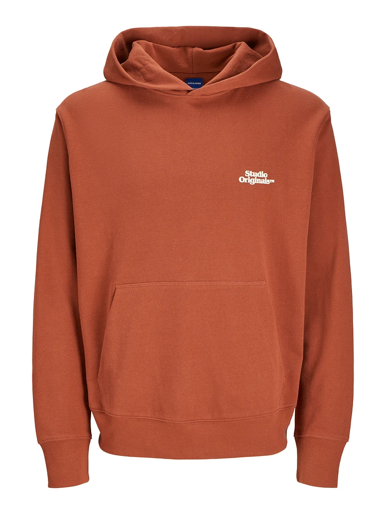Chandail ouaté à capuchon Coupe décontractée | Jack & Jones
