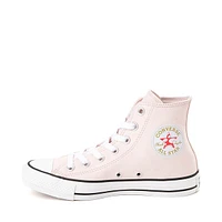 Basket Converse Chuck Taylor All Star Hi Mushroom Garden