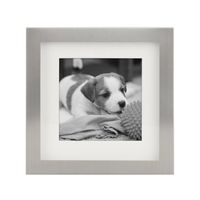 Stamp Metal 5-pc. Gallery Picture Frame Set