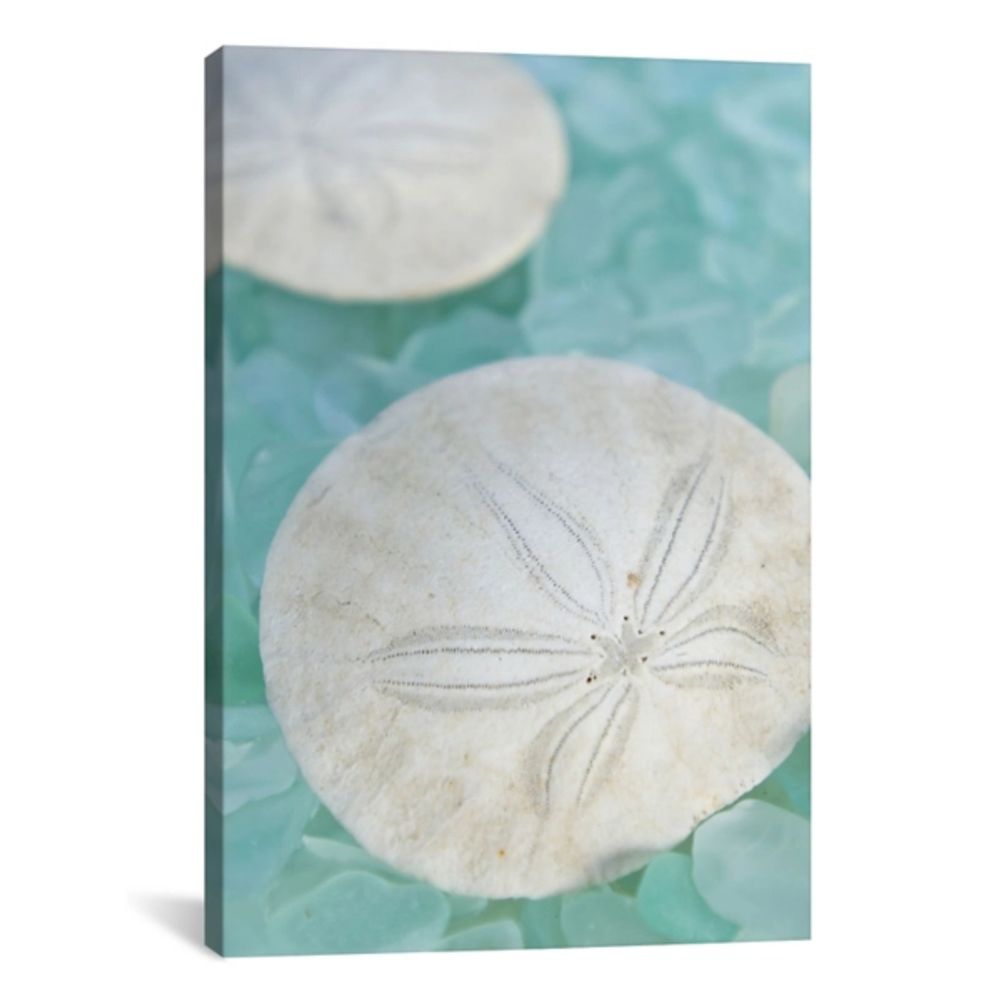 Sand Dollar and Seaglass Canvas Art Print