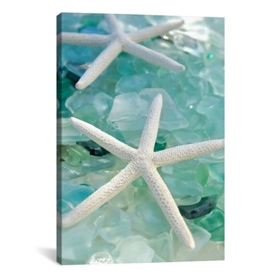 Starfish & Seaglass Giclee Canvas Art Print, 18x26