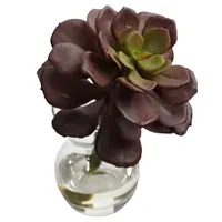 Succulents in Glass Vases, Set of 3