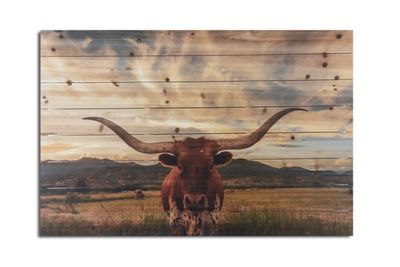 Longhorn Stare Wood Art Print