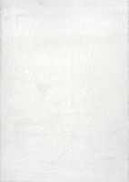 White Iliza Shag Area Rug, 5x8