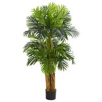 Triple Areca Palm Tree, 5 ft.