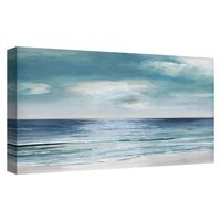 Silver Shore Canvas Art Print