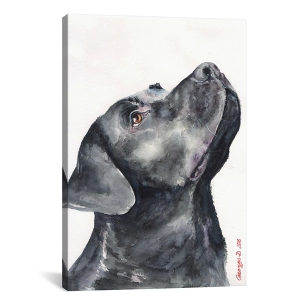 Black Labrador Giclee Canvas Art Print, 18x26