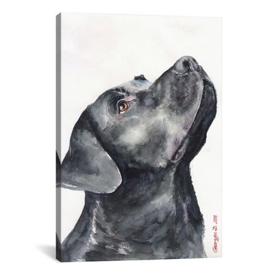 Black Labrador Giclee Canvas Art Print, 18x26