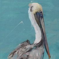 Pelican Perch I & II Canvas Art Prints, Set of 2