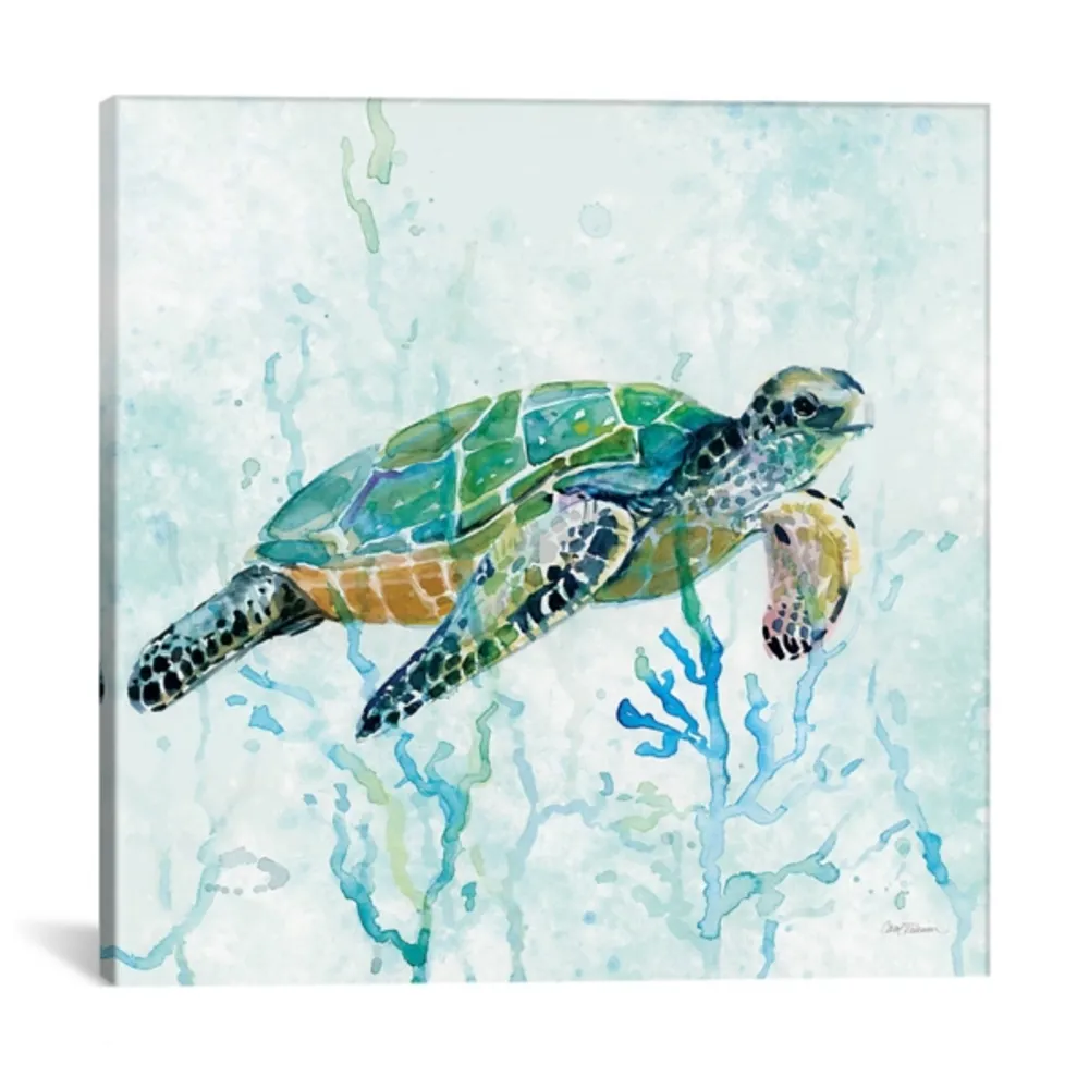 Sea Turtle Swim I Canvas Art Print