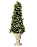 Flocked Sage Cone in Urn Arrangement, 24 in.