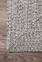 Braided Lefebvre Area Rug