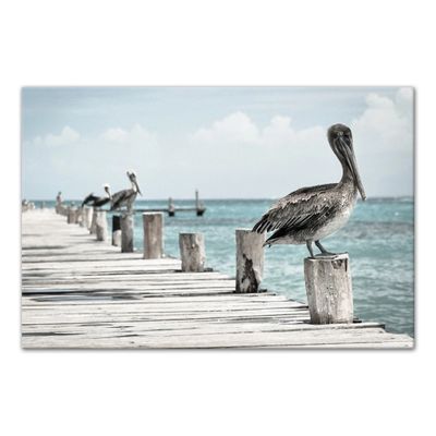 Perched Pelican Canvas Art Print