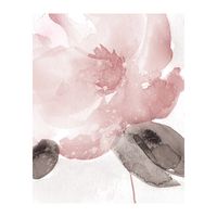 Blush Bloom I Giclee Canvas Art Print