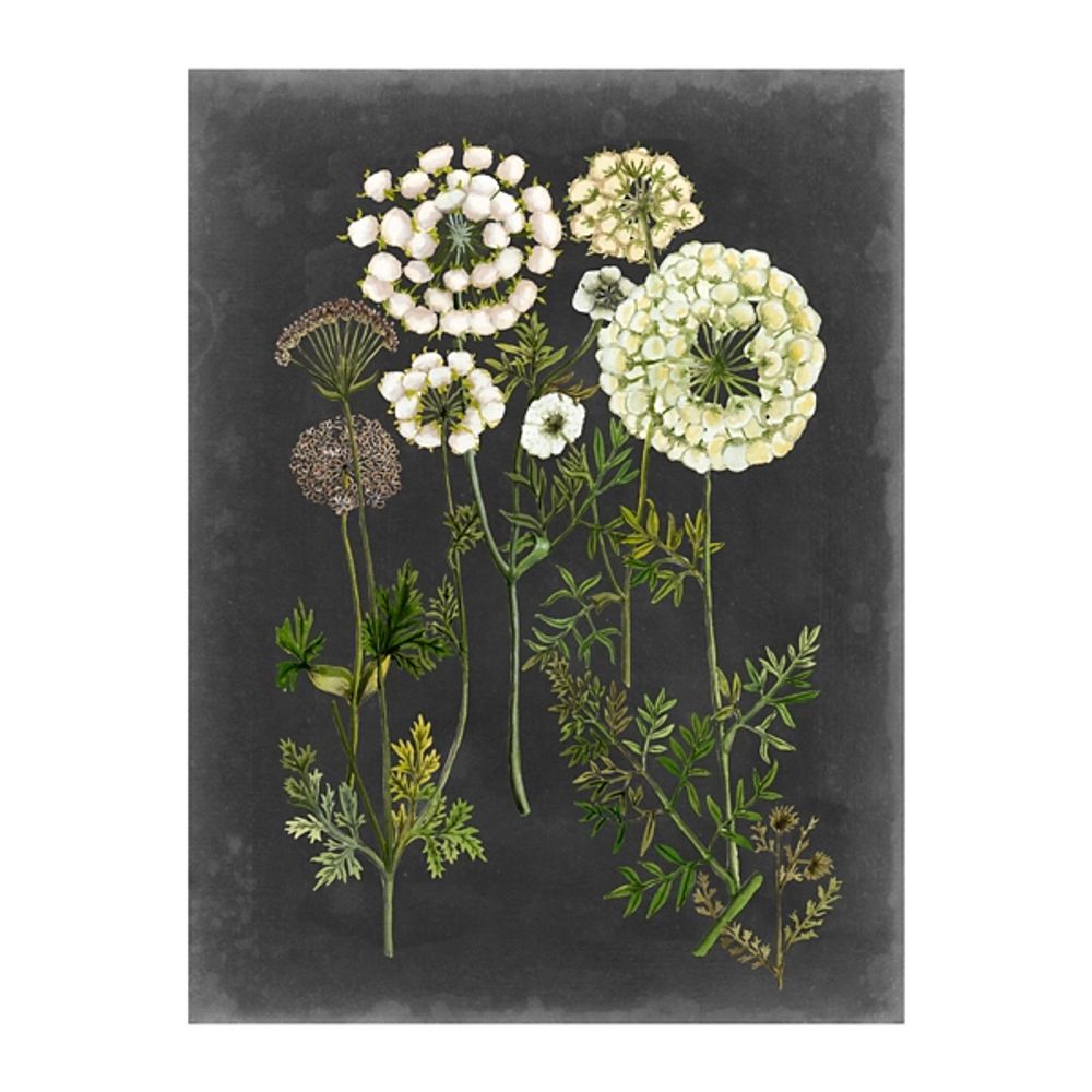 Bookplate Floral II Giclee Canvas Art Print