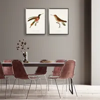 Hummingbird I Framed Art Print