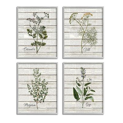 Vintage Herbs Framed Art Prints, Set of 4