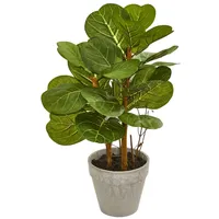 Fiddle Leaf Plant Arrangement, 22 in.