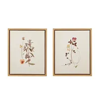 Martha Stewart French Herbarium Framed Art Set