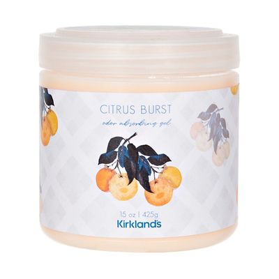 Citrus Burst Odor Absorber