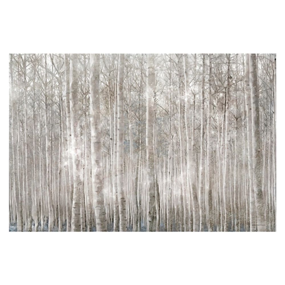 Birch Trees Canvas Art Print