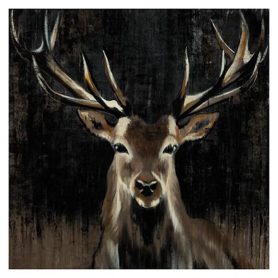 Young Buck Giclee Canvas Art Print, 30x30 in.