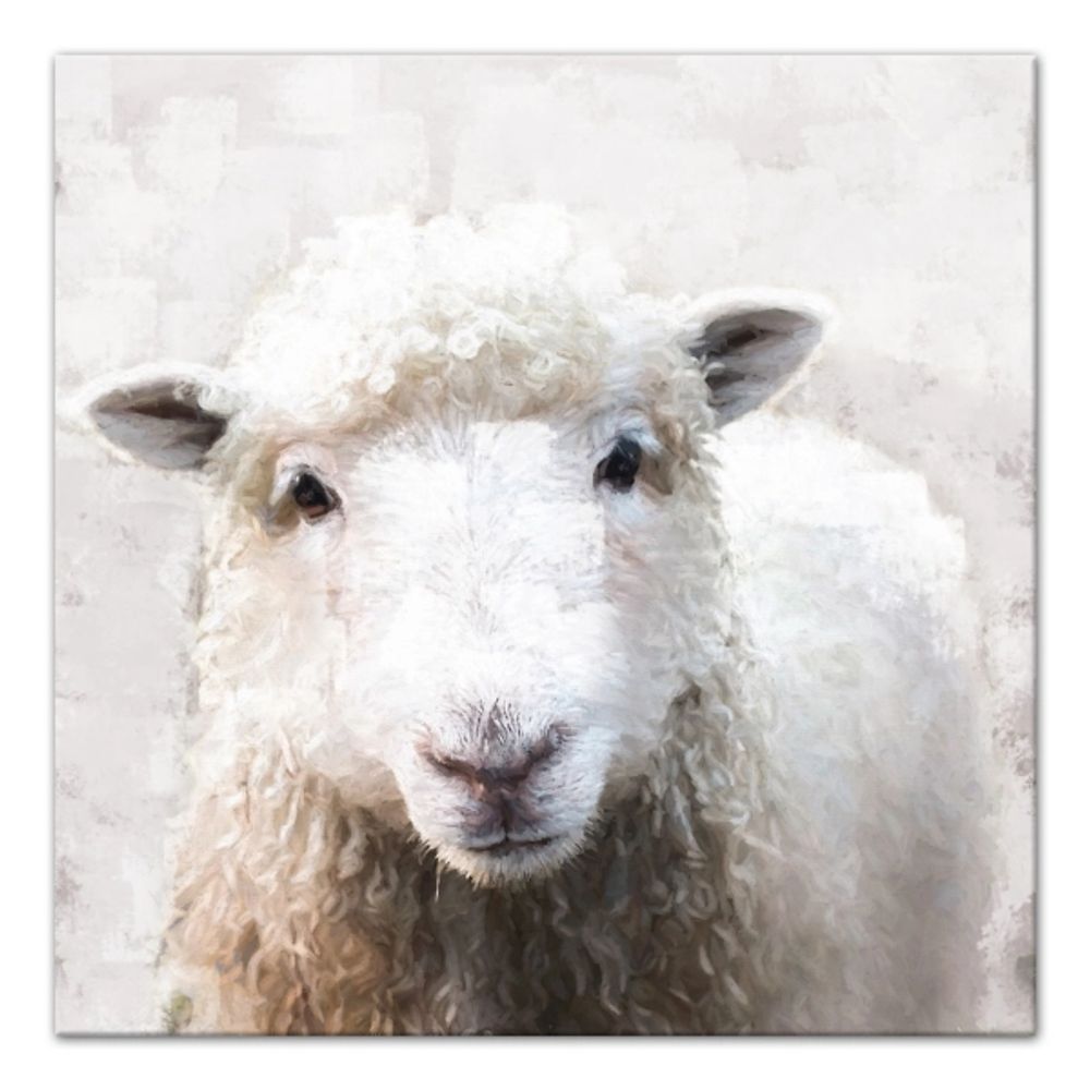 Soft Painted Sheep Canvas Art Print