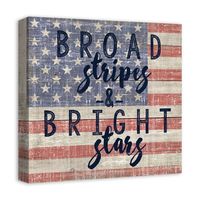 Broad Stripes Bright Stars Canvas Art Print