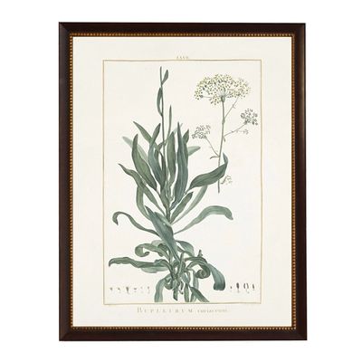 Bupleurum Greenery Black Beaded Framed Art Print