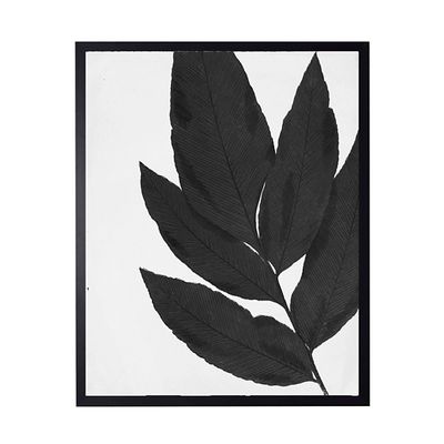 Black Cropped Leaf I Framed Art Print