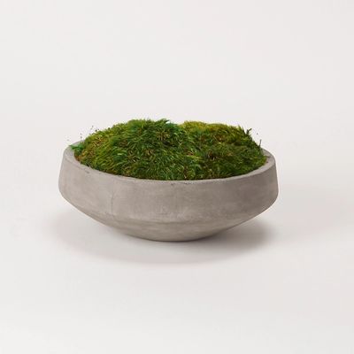 Preserved Mood Moss in Round Cement Bowl