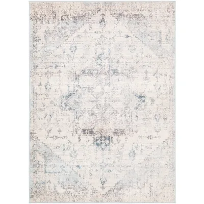 White Anita Distressed Area Rug, 7x10