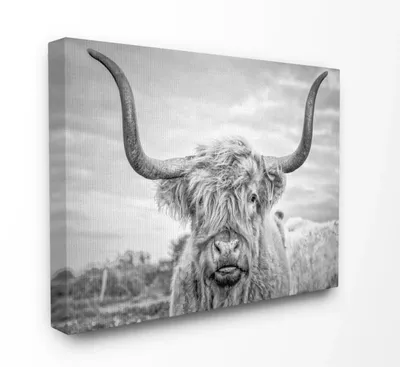 Black and White Highland Cow Canvas Art Print