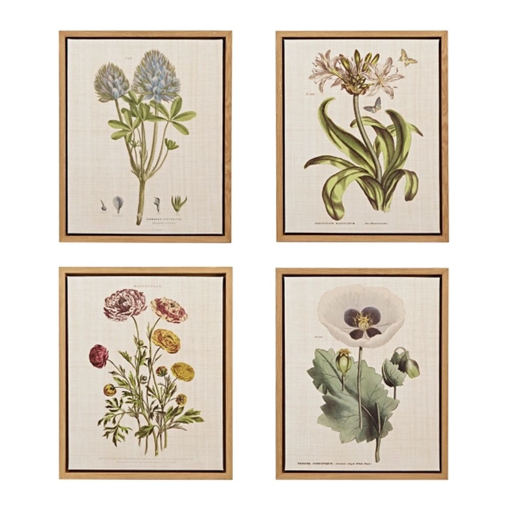 Martha Stewart Herb and Floral Framed Print Set
