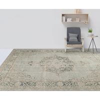 Sea Green Vintage Medallion Area Rug, 5x7