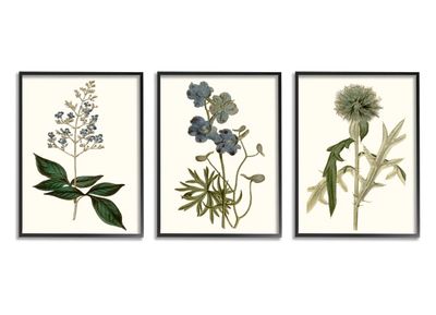 Vintage Blue Flowers Framed Art Prints, Set of 3