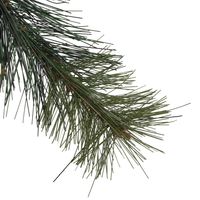 Cashmere Pine LED Garland