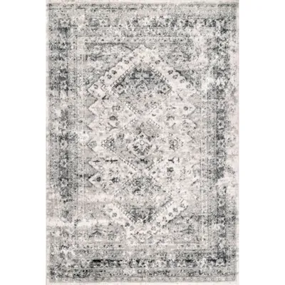 Shauna Vintage Speckled Area Rug, 9x12