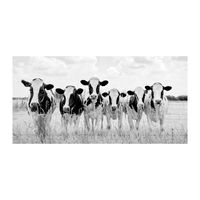 Grazing Pasture Canvas Art Print