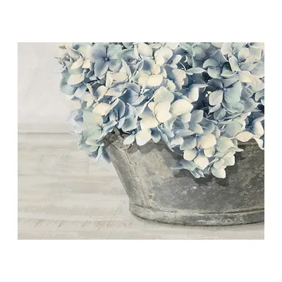 Hydrangea Bunch Canvas Art Print