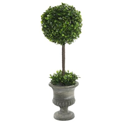 Gray Boxwood Pedestal Urn Topiary, 2 ft.