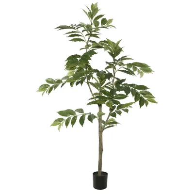 Green Nandina Potted Tree, 4 ft.