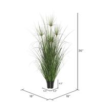 Potted Green Grass, 36 in.