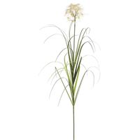 Potted Flowering Grass, 36 in.
