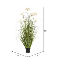 Potted Flowering Grass, 36 in.