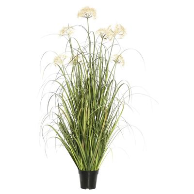 Potted Flowering Grass, 36 in.