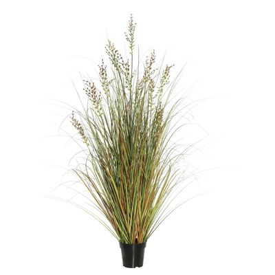 Green and Brown Potted Grass, 36 in.