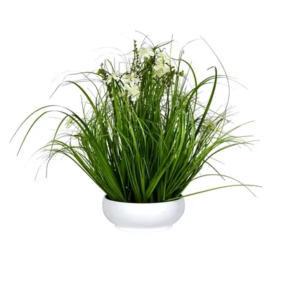Cream Cosmos and Grass in White Pot, 21 in.