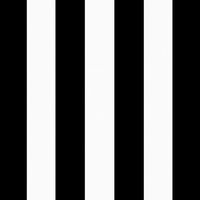 Black Cabana Stripe Outdoor Pillow, 16 in.