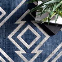 Blue Cassie Global Outdoor Area Rug, 8X10